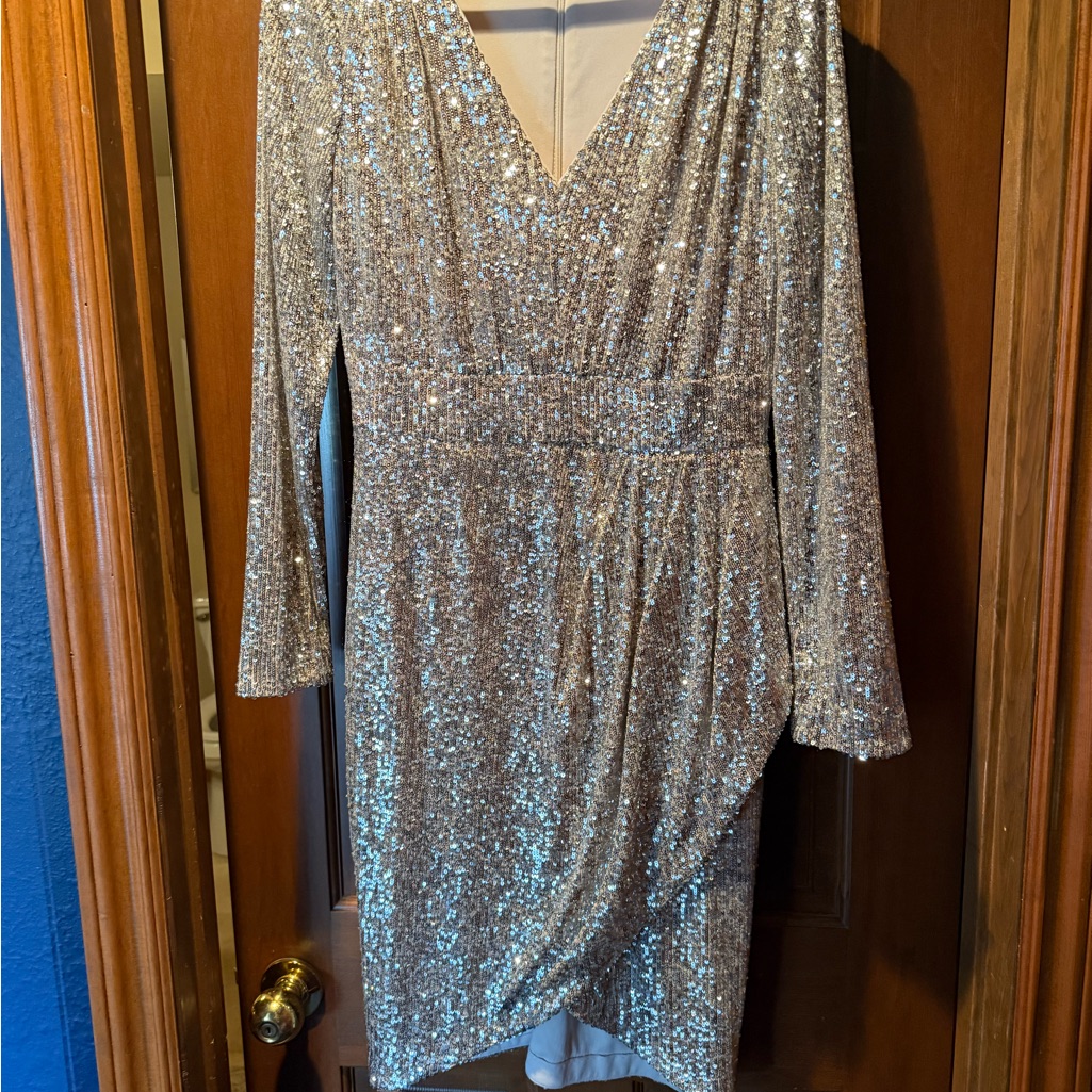 Calvin Klein Silver Sequin Long Sleeve Dress